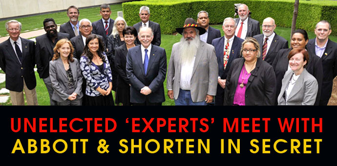 The unelected 'Expert Panel'