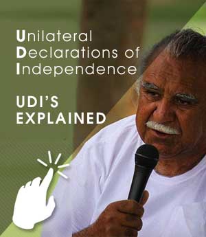 UDI's explained
