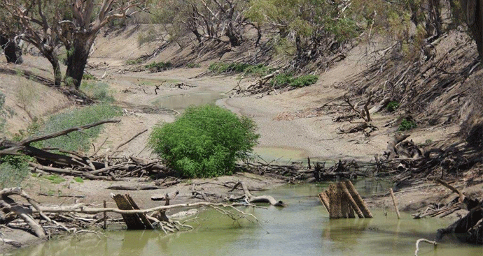 Namoi and Barwon Rivers